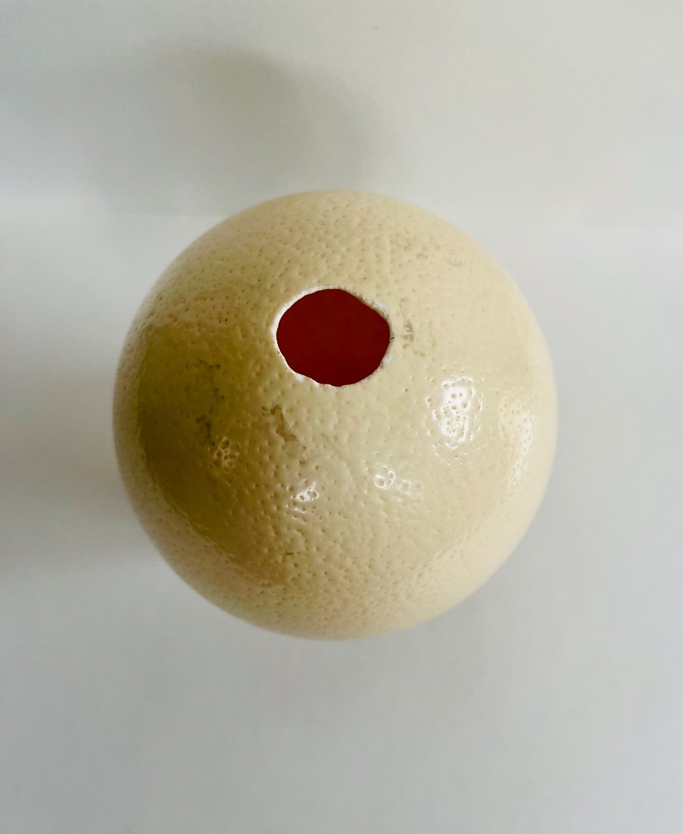 Ostrich Egg-photo-3